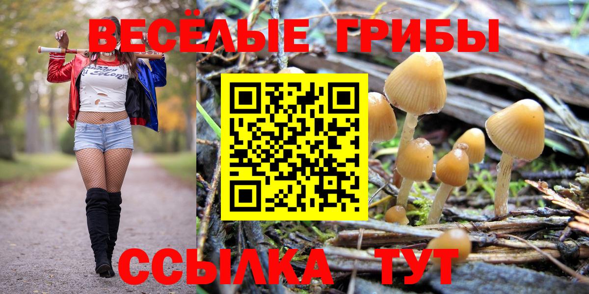Псилоцибиновые грибы MAGIC MUSHROOMS Унеча